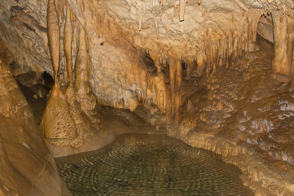 Apartamentos La Regoria Arenas De Cabrales Εξωτερικό φωτογραφία